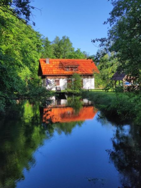 Ferienhaus Klopeinersee Kärnten